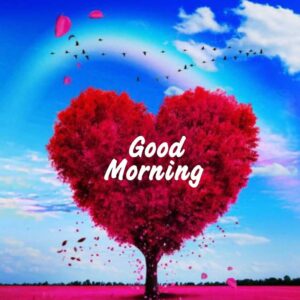 good morning love images
